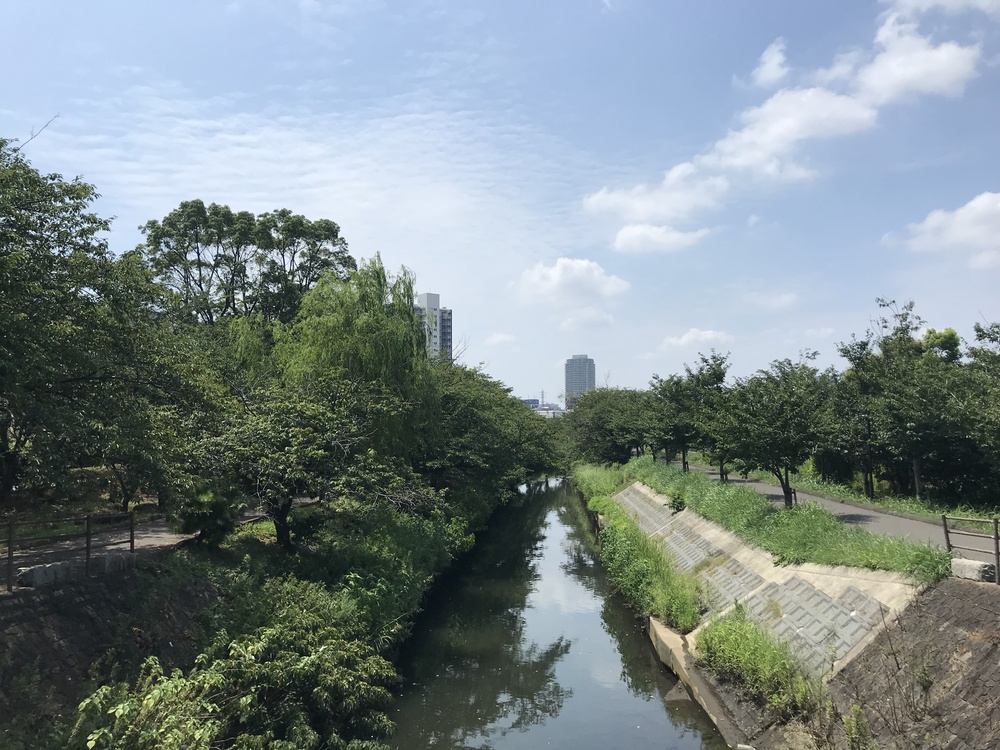 海老川ジョギングロードの写真5