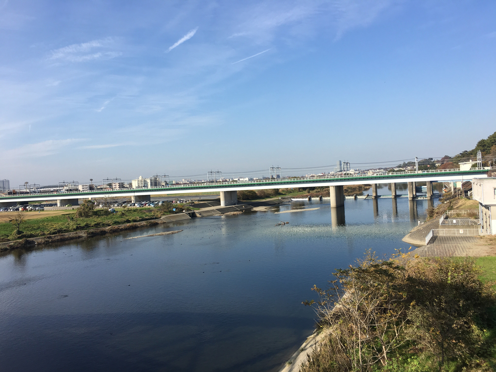多摩川河川敷ラン 【丸子橋〜等々力緑地〜二子橋】の写真3