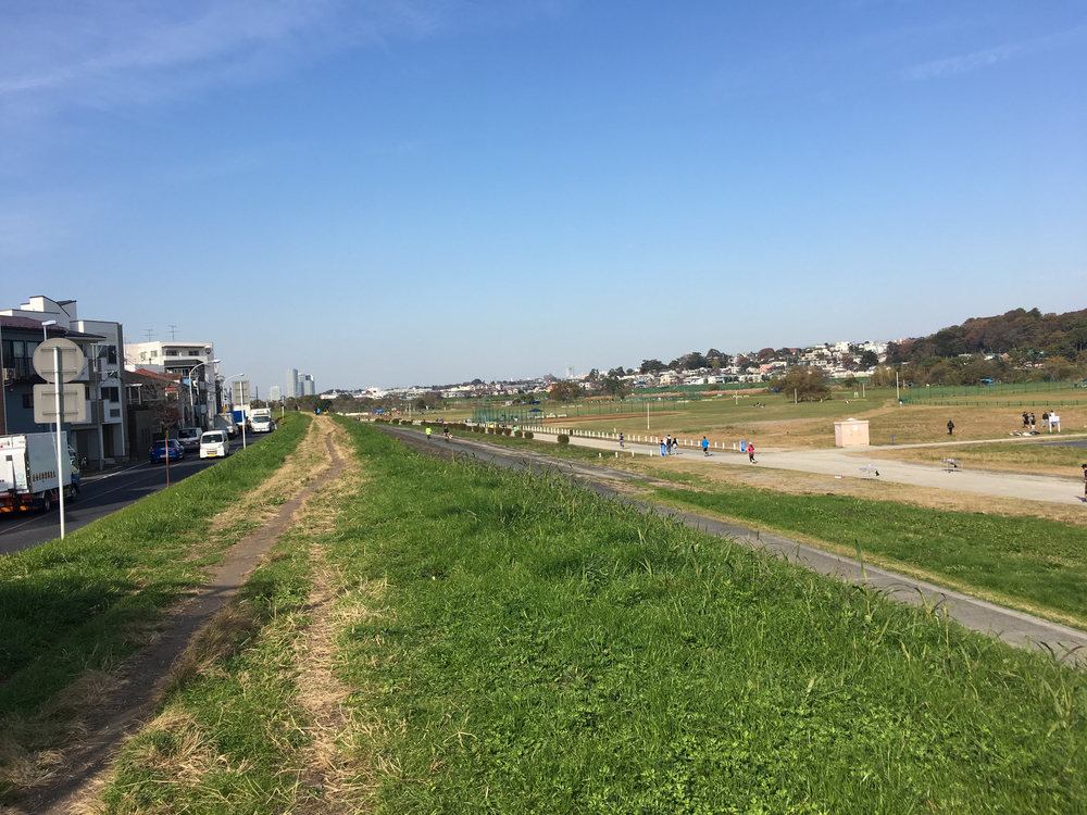 多摩川河川敷ラン 【丸子橋〜等々力緑地〜二子橋】の写真4