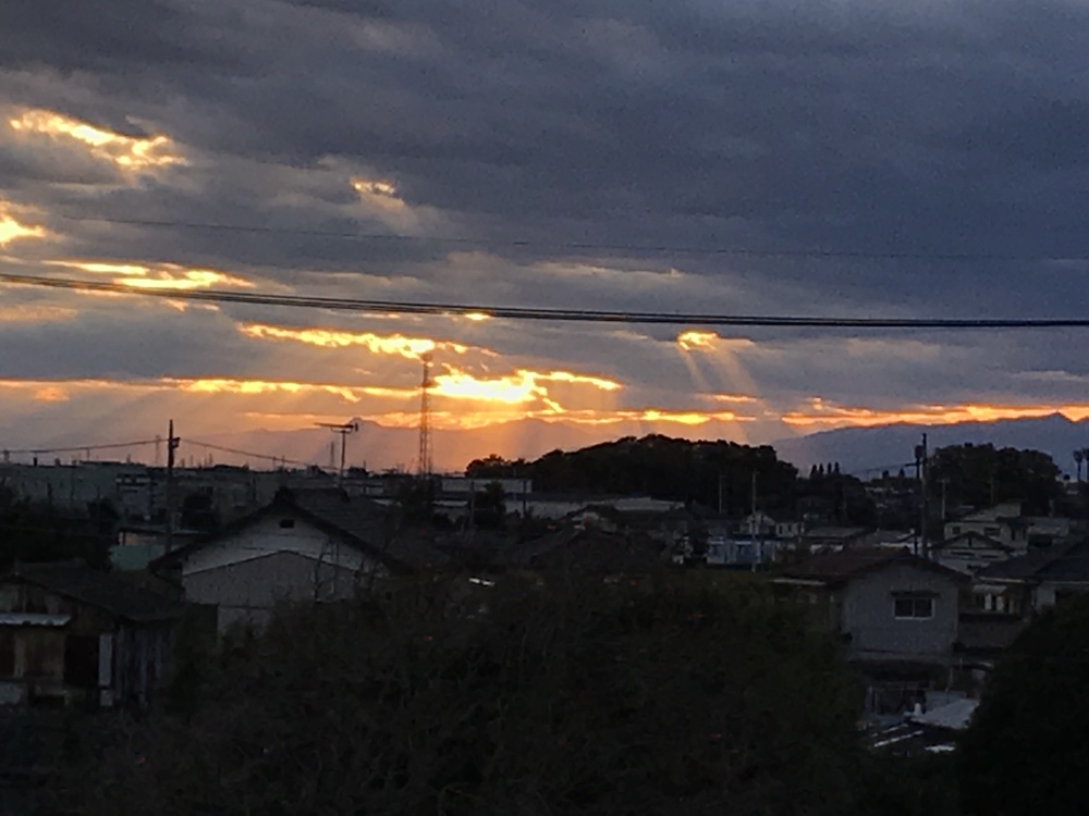 中川、利根川、権現堂川をつなぐループランの写真7