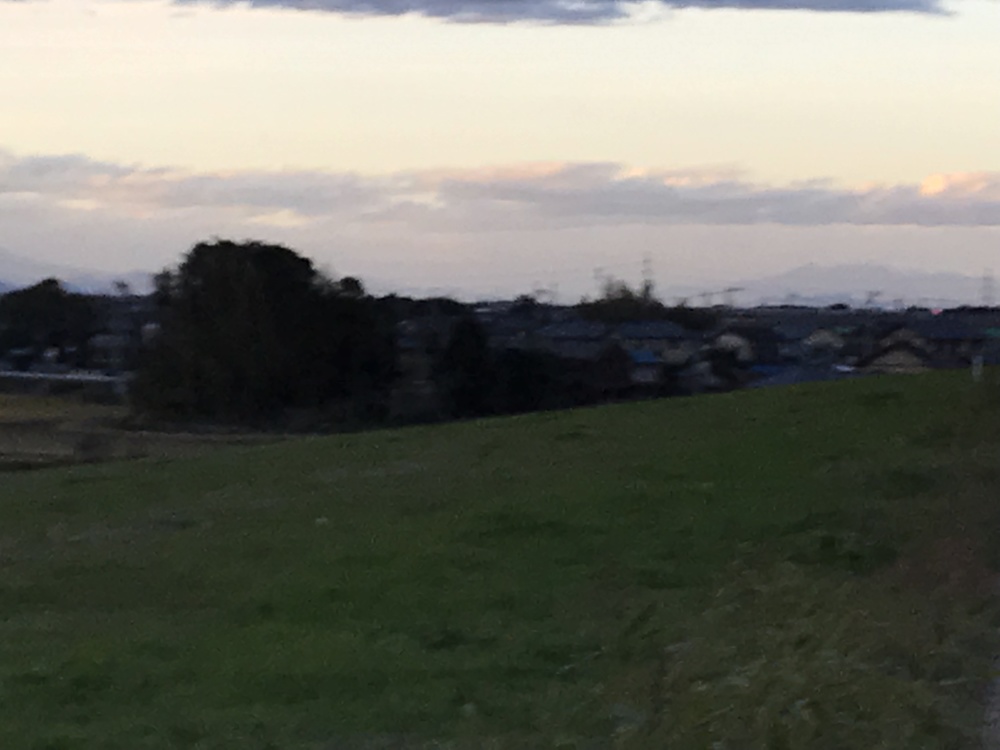 中川、利根川、権現堂川をつなぐループランの写真12