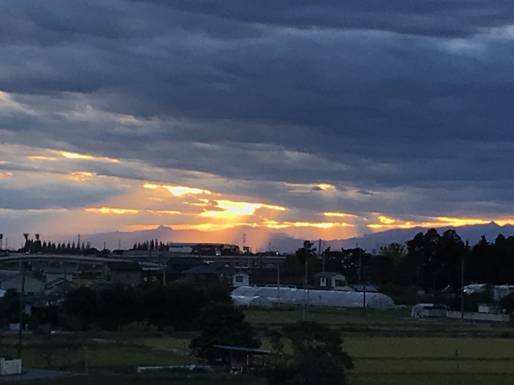 中川、利根川、権現堂川をつなぐループランの写真13