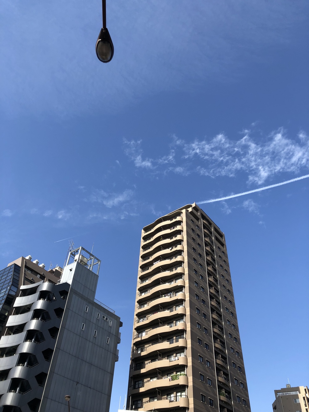 山手線をベースにハートを描く。の写真4