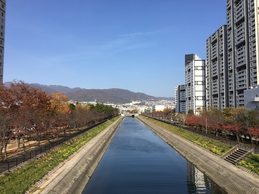 芦屋中央緑道、マリンセンターから芦屋元気湯への写真3
