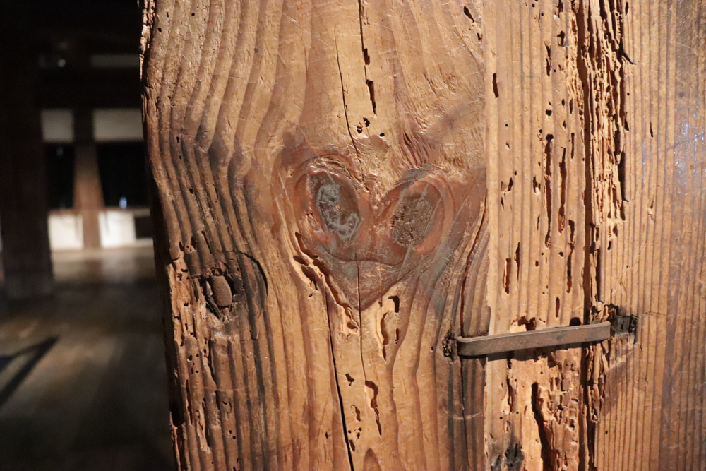 【松江Runtrip】夕日に照らされる国宝松江城と宍道湖を見に行こう！の写真11