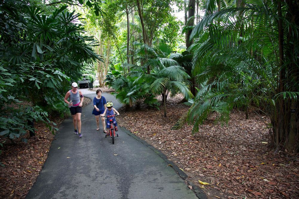 世界遺産・ボタニック・ガーデンの写真4