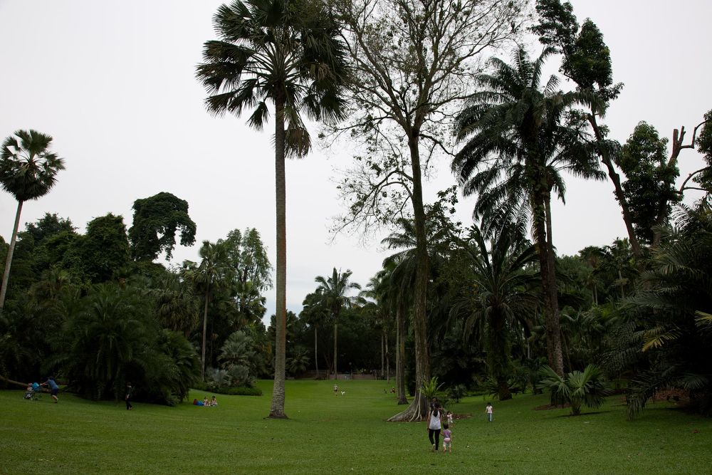 世界遺産・ボタニック・ガーデンの写真8
