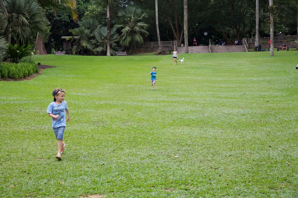 世界遺産・ボタニック・ガーデンの写真9