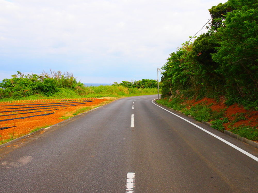 恋の島へ渡る道の写真3
