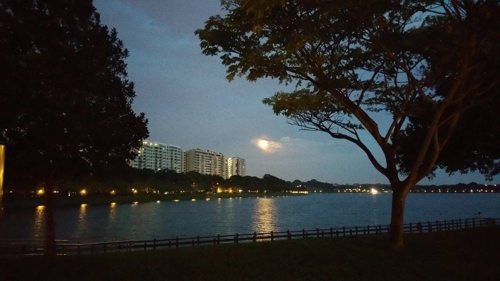 ローカルランナーが集うベドック貯水池の写真4