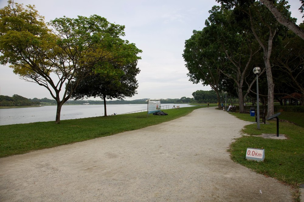 ローカルランナーが集うベドック貯水池の写真6