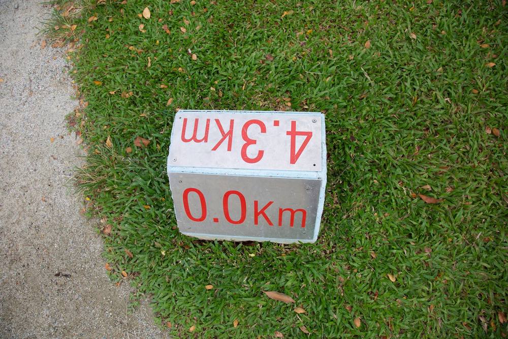 ローカルランナーが集うベドック貯水池の写真8