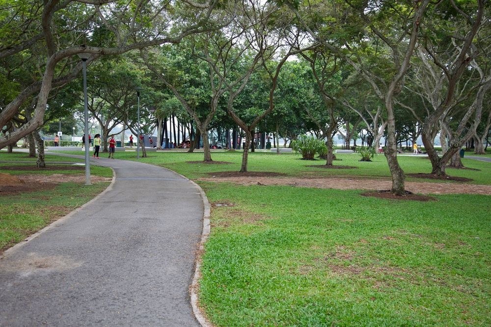 ローカルランナーが集うベドック貯水池の写真9