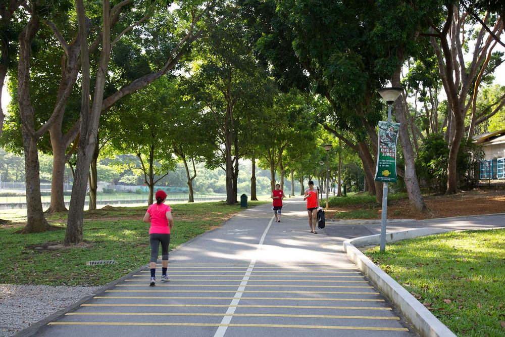 ローカルランナーが集うベドック貯水池の写真10
