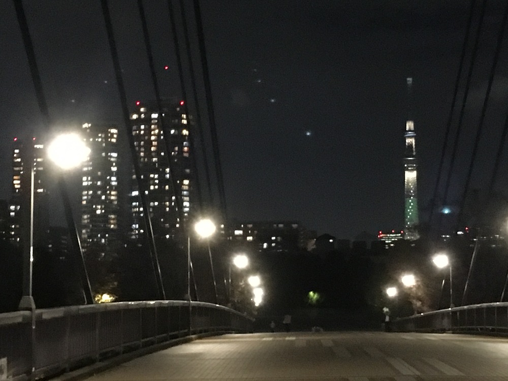 出張東京下町夜ランの写真4