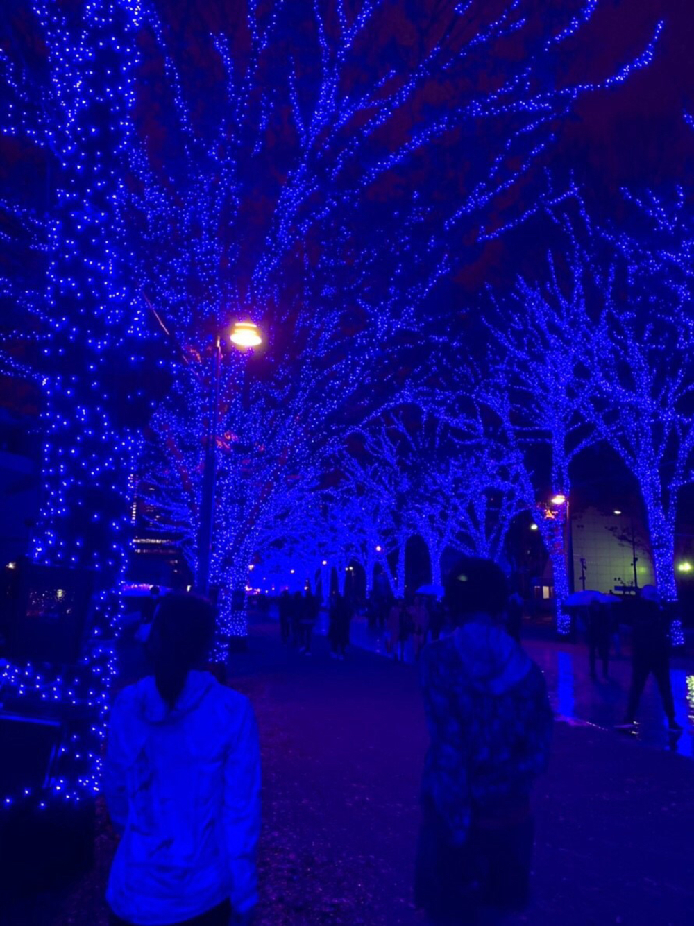 【クリスマスイルミラン】六本木・表参道・渋谷の写真4