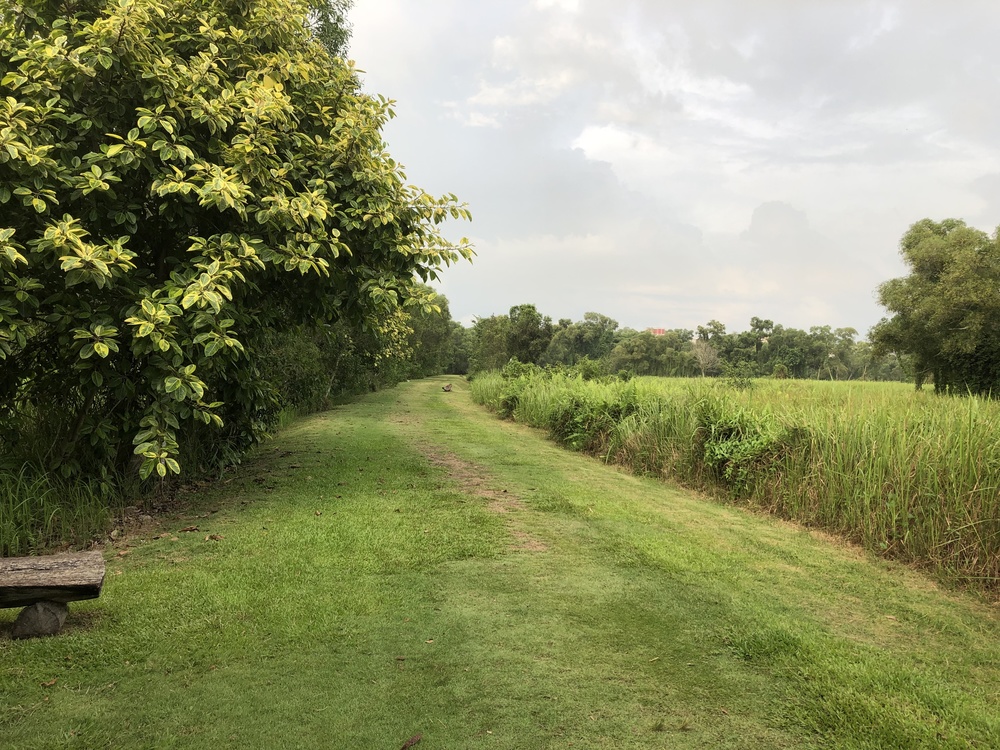 Tampines Eco GreenとBedok Reservoirをつなぐ１２Kmランの写真4