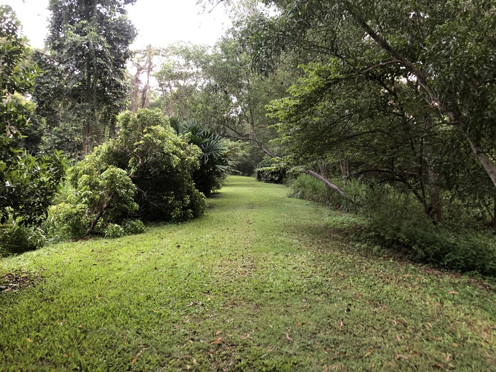 Tampines Eco GreenとBedok Reservoirをつなぐ１２Kmランの写真5