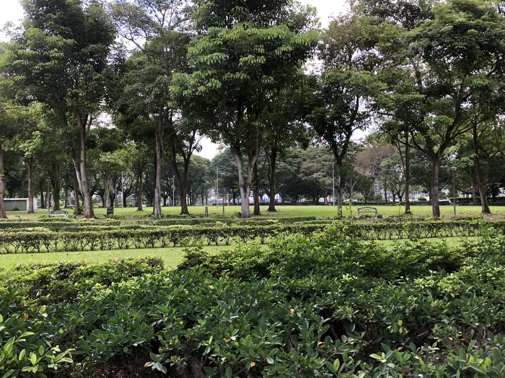 Tampines Eco GreenとBedok Reservoirをつなぐ１２Kmランの写真6