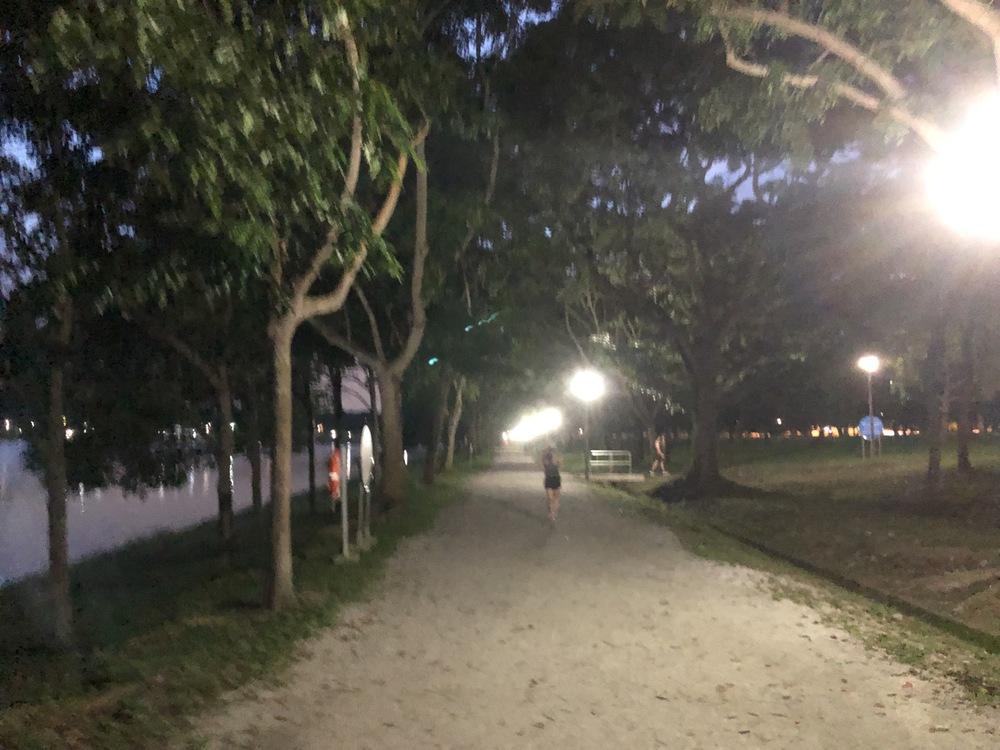 Tampines Eco GreenとBedok Reservoirをつなぐ１２Kmランの写真11