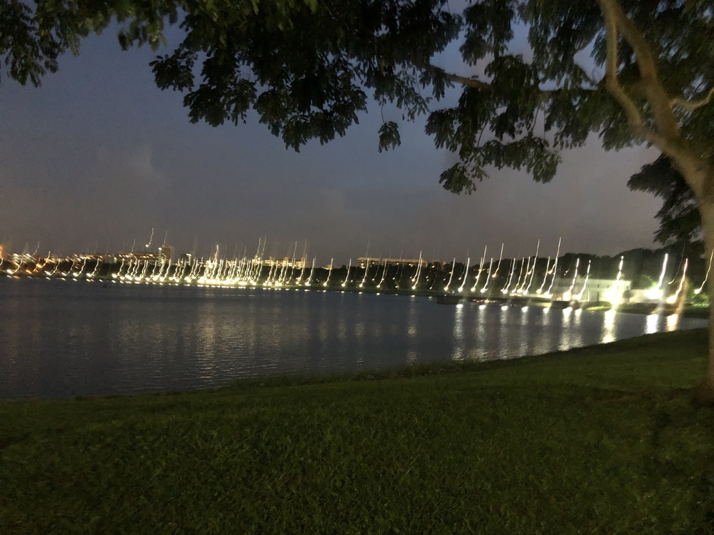 Tampines Eco GreenとBedok Reservoirをつなぐ１２Kmランの写真12