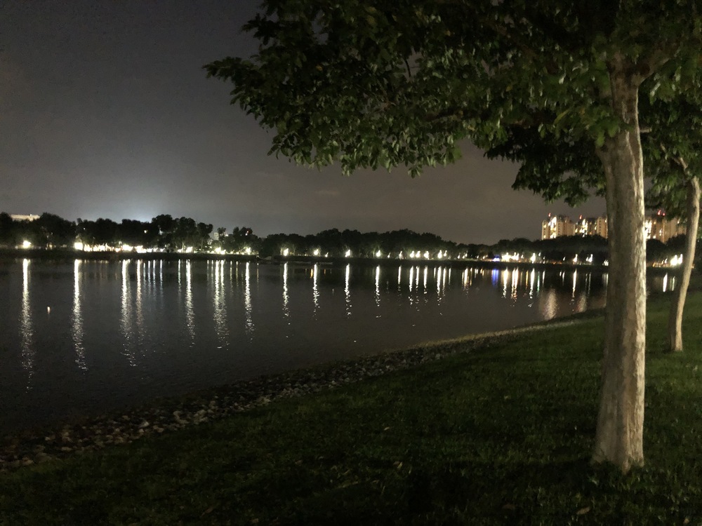 Tampines Eco GreenとBedok Reservoirをつなぐ１２Kmランの写真17