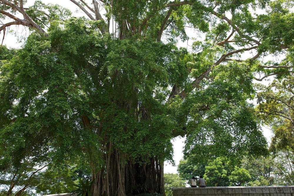 西洋の歴史を感じるフォートカニングパークの写真5