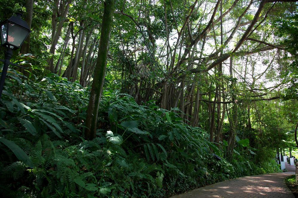 西洋の歴史を感じるフォートカニングパークの写真6