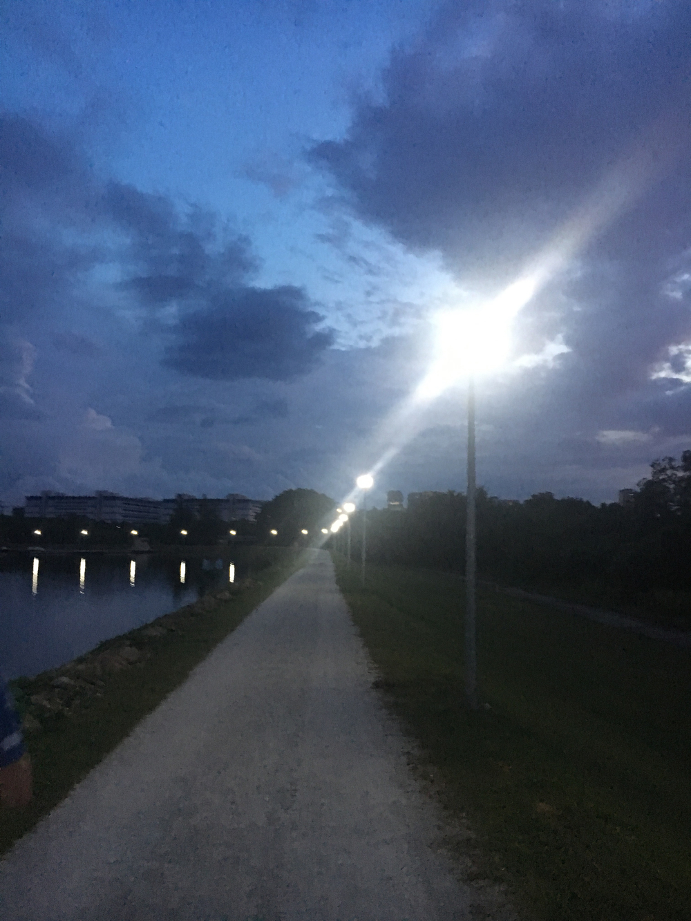 暁のPandan Reservoirを駆けるの写真4