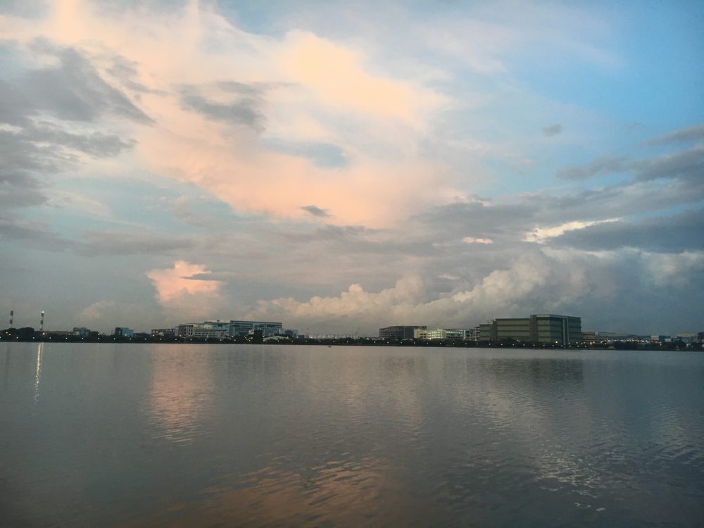 暁のPandan Reservoirを駆けるの写真5