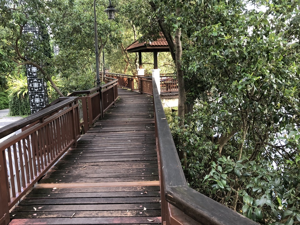 世界遺産の街マラッカの早朝ランの写真13