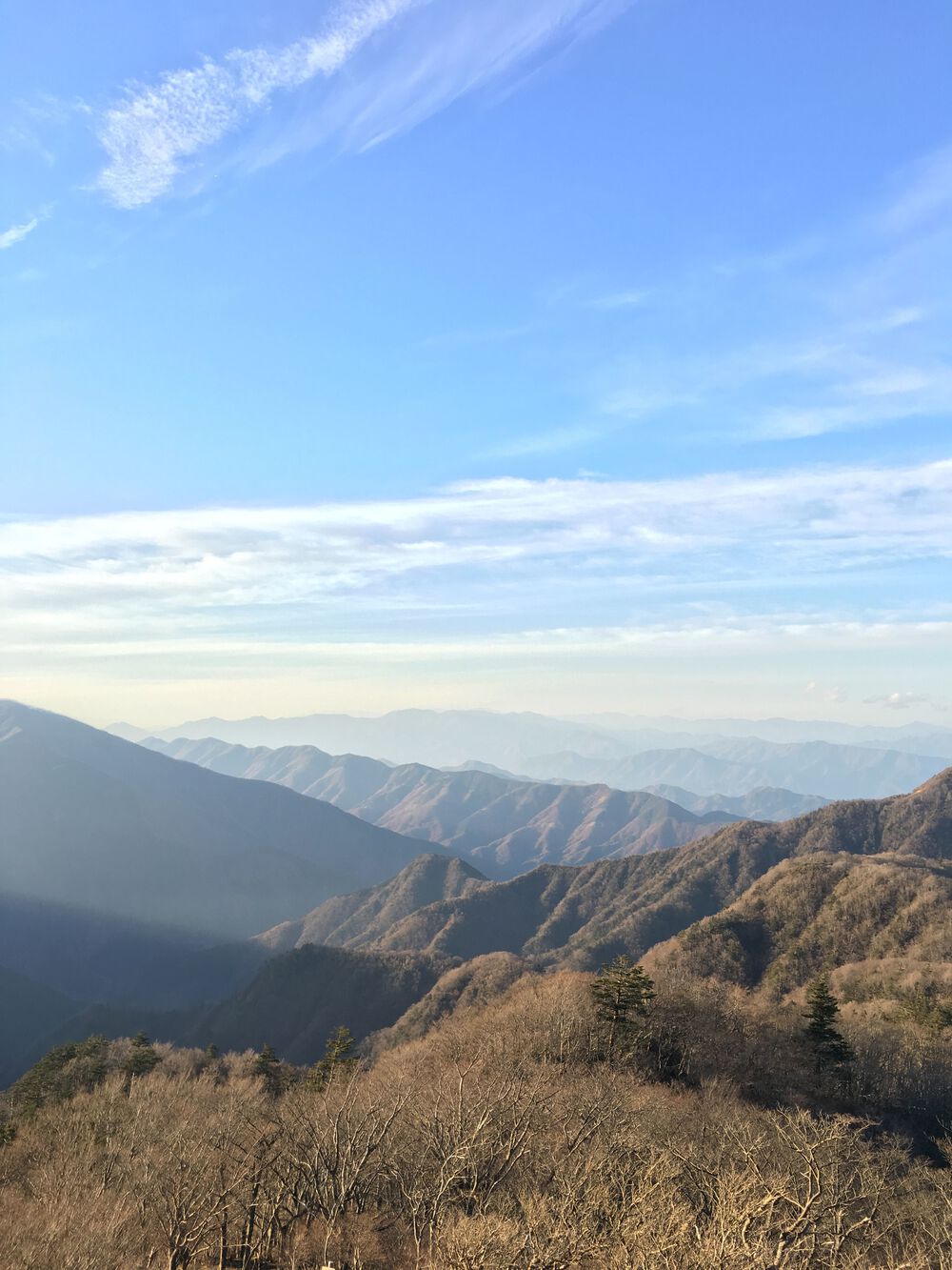 TTT ( 高尾 to 丹沢　）の写真3