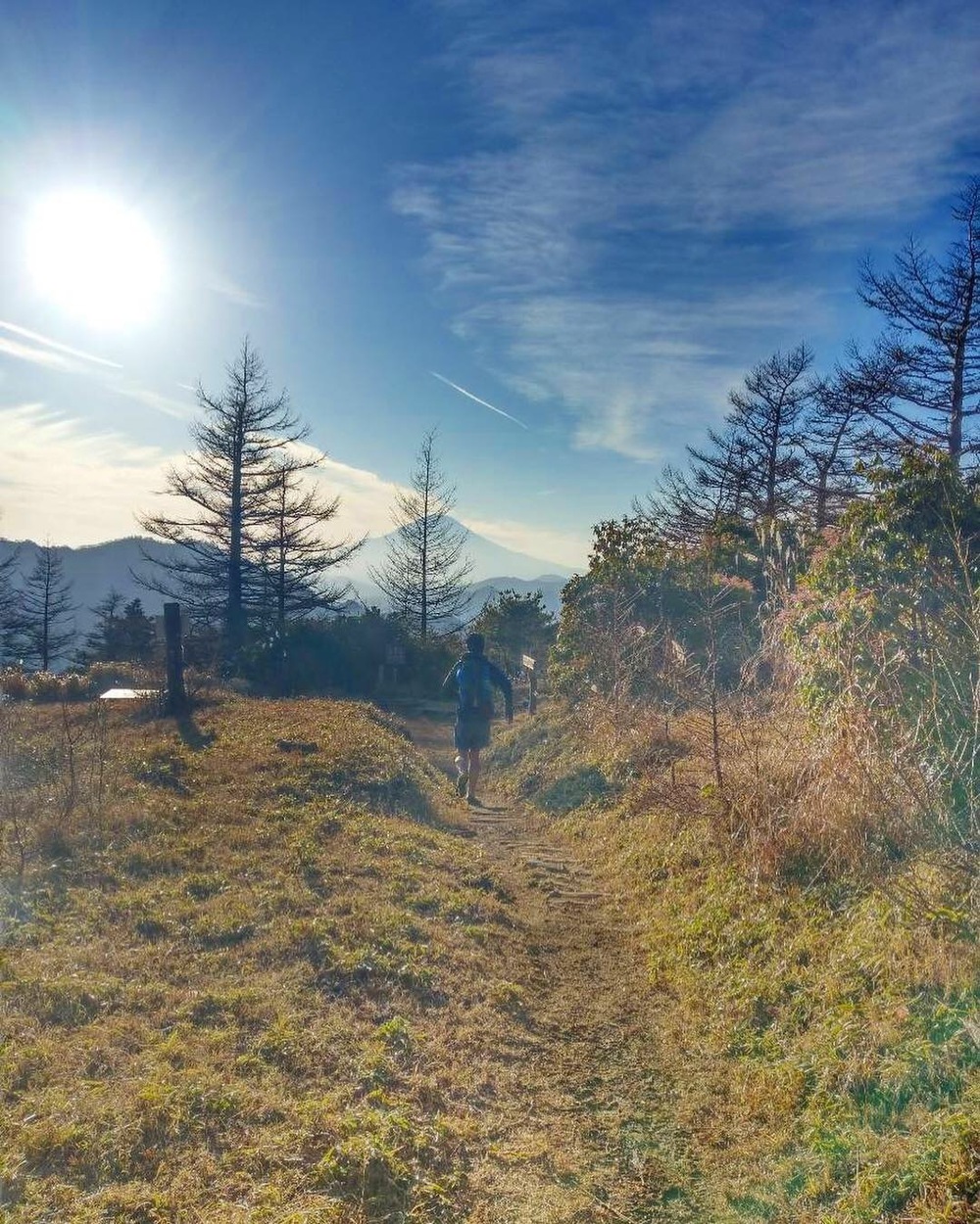 TTT ( 高尾 to 丹沢　）の写真4