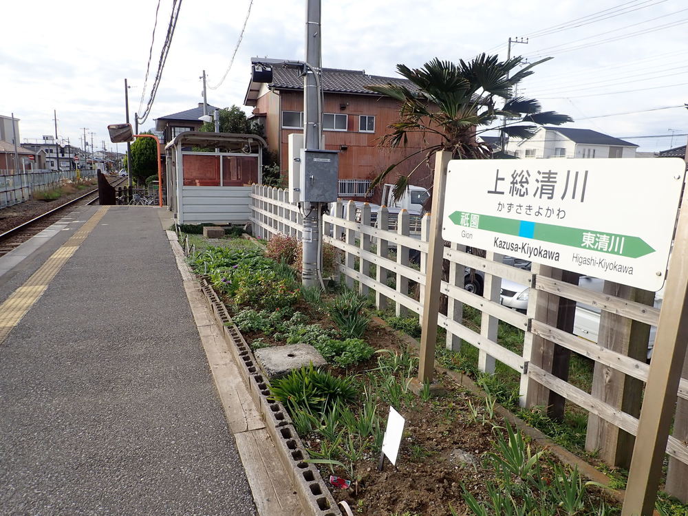 ローカル線沿線ラン（久留里線編）の写真13