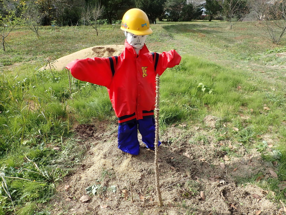 ローカル線沿線ラン（久留里線編）の写真16