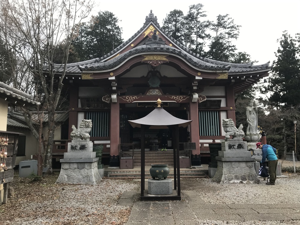 13.5K D700+！ 正丸駅〜伊豆ヶ岳〜天目指峠〜子の権現〜吾野駅の写真6