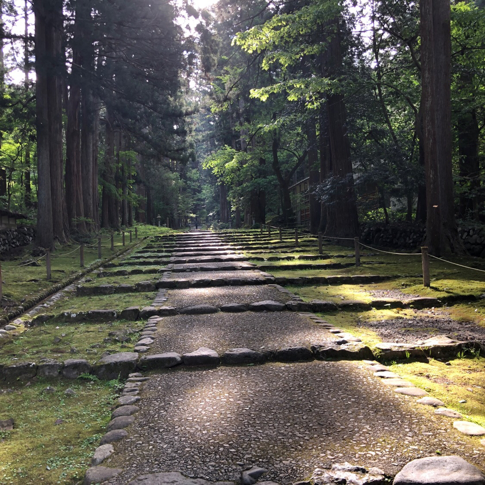 木漏れ日が気持ちいい平泉寺の山道を駆け登る半クロカンコース8kmコース。の写真5
