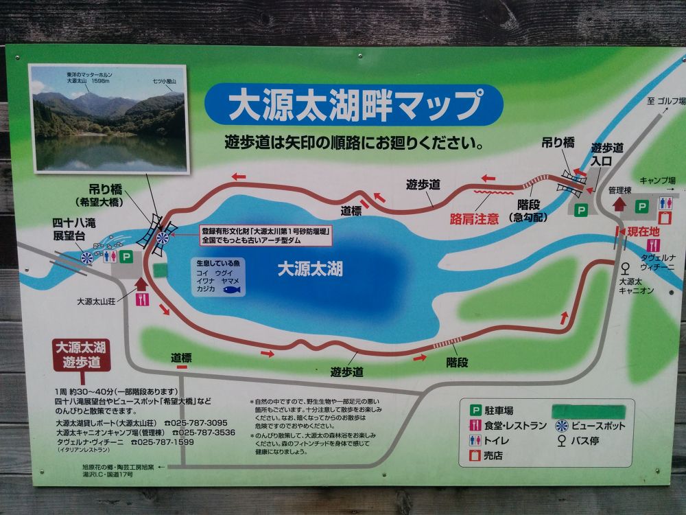 コスモスと大源太キャニオン・越後湯沢の写真5