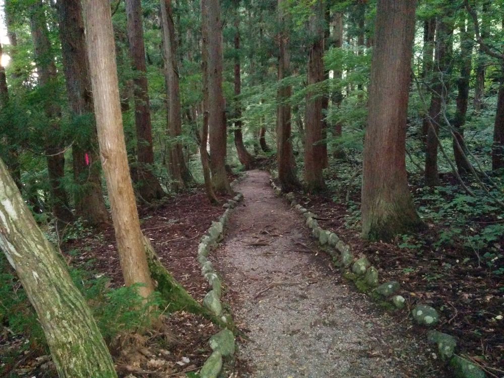 コスモスと大源太キャニオン・越後湯沢の写真6