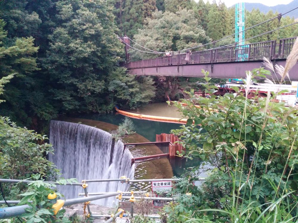 コスモスと大源太キャニオン・越後湯沢の写真7