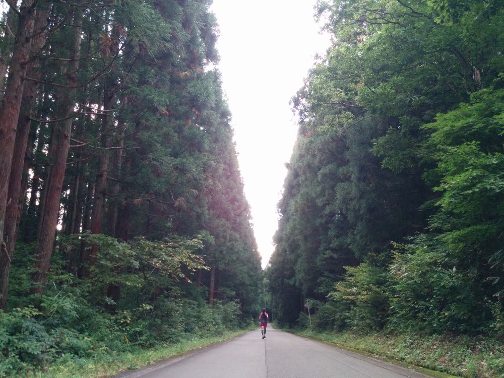 コスモスと大源太キャニオン・越後湯沢の写真8