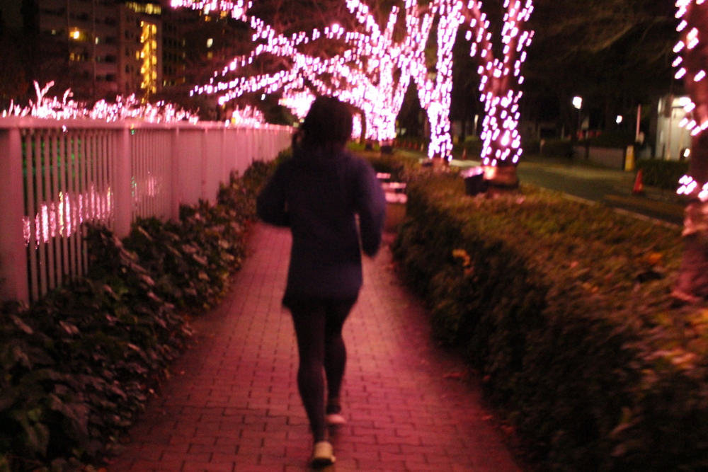 イルミラン（目黒川・恵比寿ガーデンプレイス・渋谷ストリーム・青の洞窟・表参道）の写真3