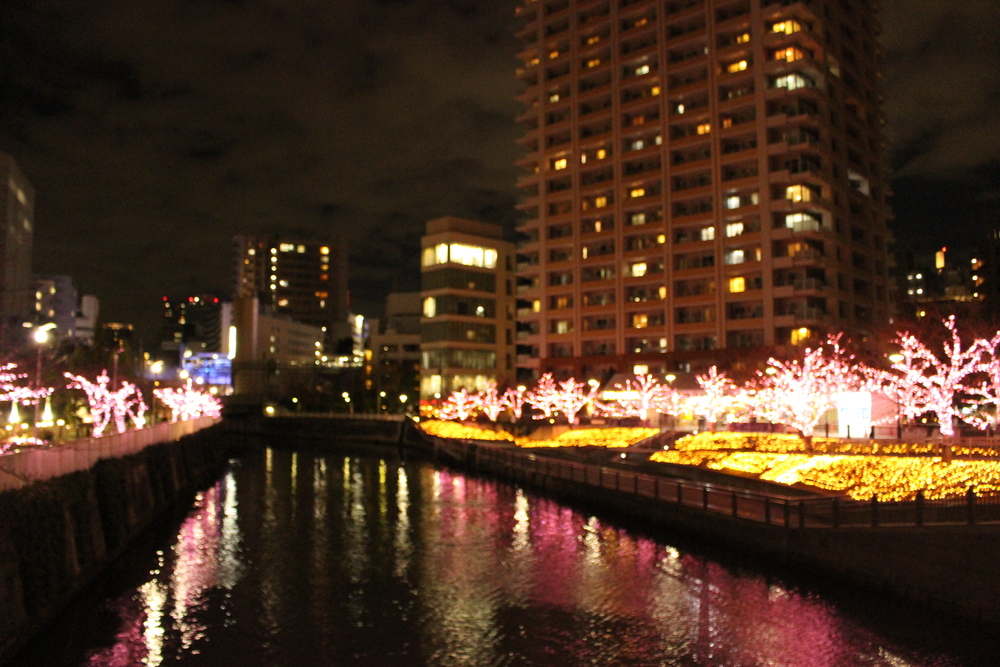 イルミラン（目黒川・恵比寿ガーデンプレイス・渋谷ストリーム・青の洞窟・表参道）の写真4