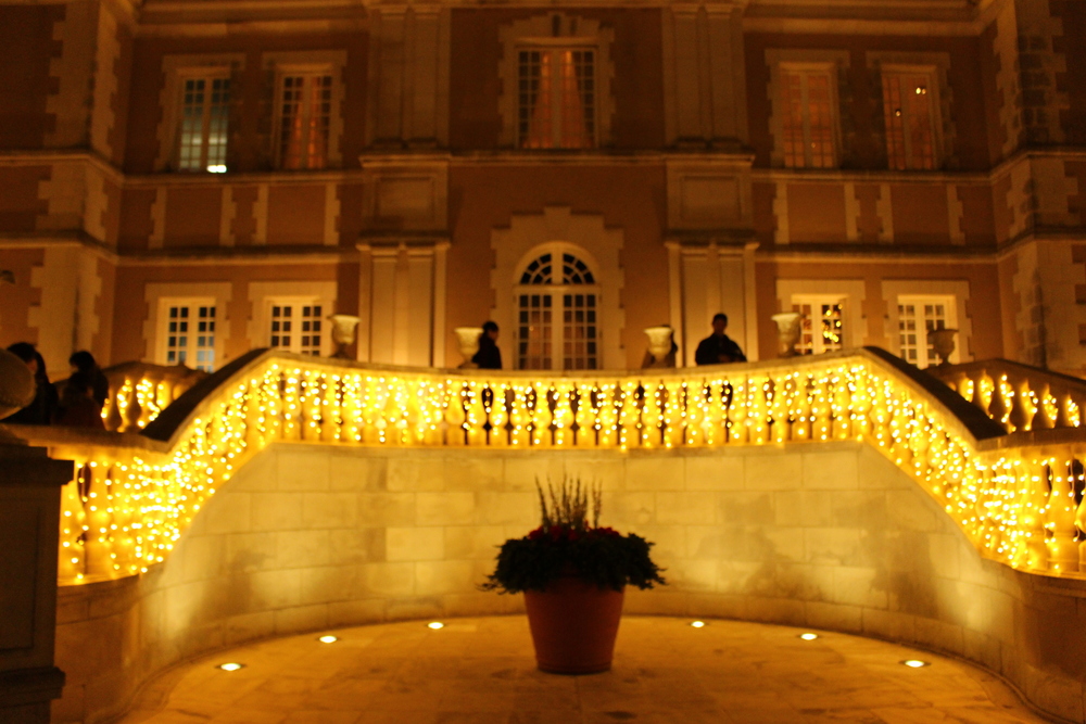 イルミラン（目黒川・恵比寿ガーデンプレイス・渋谷ストリーム・青の洞窟・表参道）の写真5