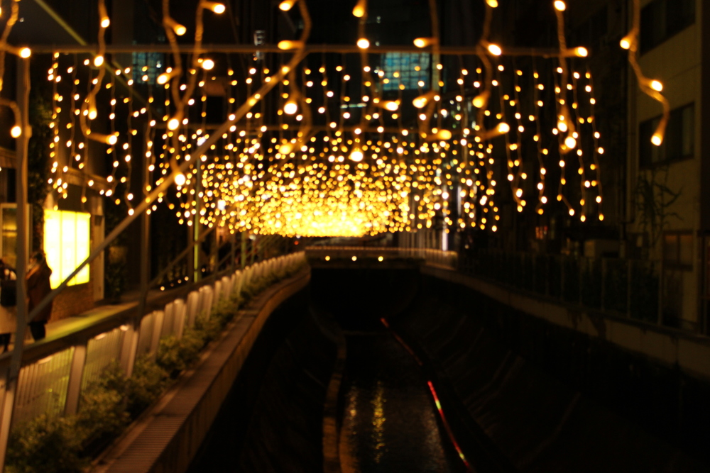 イルミラン（目黒川・恵比寿ガーデンプレイス・渋谷ストリーム・青の洞窟・表参道）の写真7