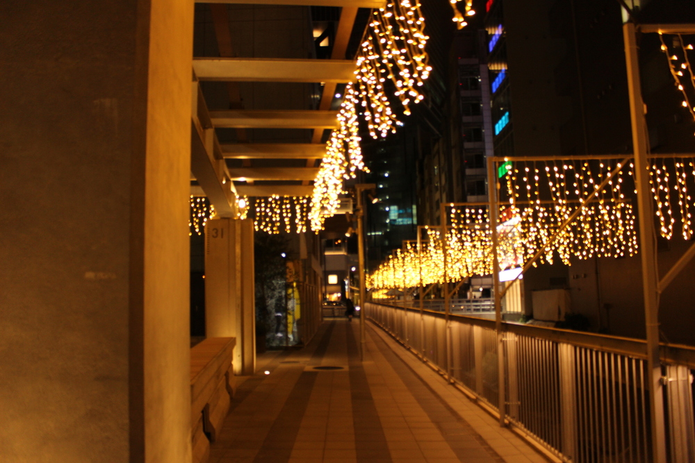 イルミラン（目黒川・恵比寿ガーデンプレイス・渋谷ストリーム・青の洞窟・表参道）の写真8