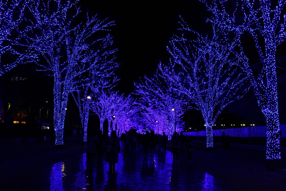 イルミラン（目黒川・恵比寿ガーデンプレイス・渋谷ストリーム・青の洞窟・表参道）の写真9