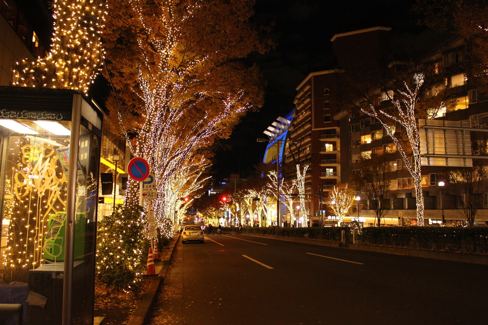 イルミラン（目黒川・恵比寿ガーデンプレイス・渋谷ストリーム・青の洞窟・表参道）の写真10