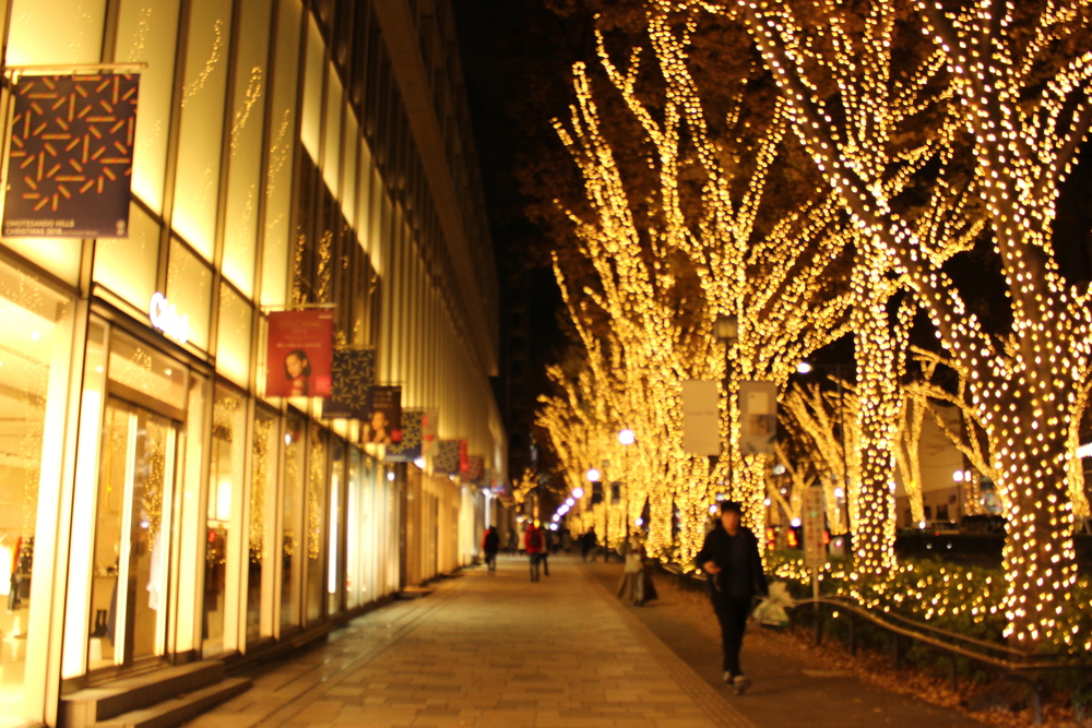 イルミラン（目黒川・恵比寿ガーデンプレイス・渋谷ストリーム・青の洞窟・表参道）の写真11