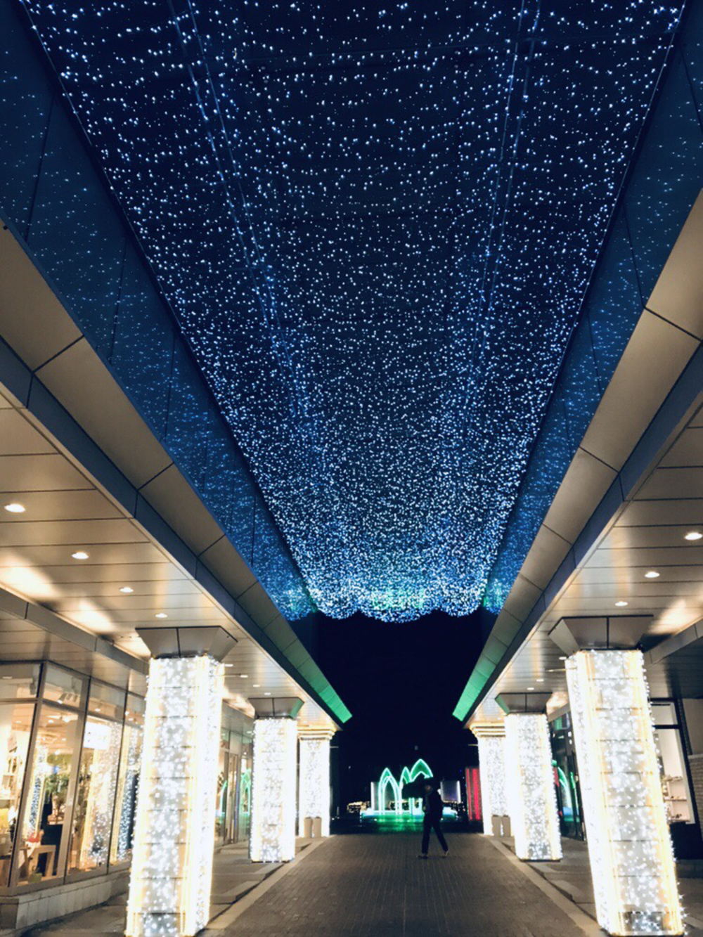 【クリスマスイルミラン】青山・代官山・中目黒恵比寿の写真3